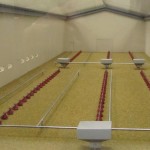 Poultry House Scale Model Poultry House Scale Model